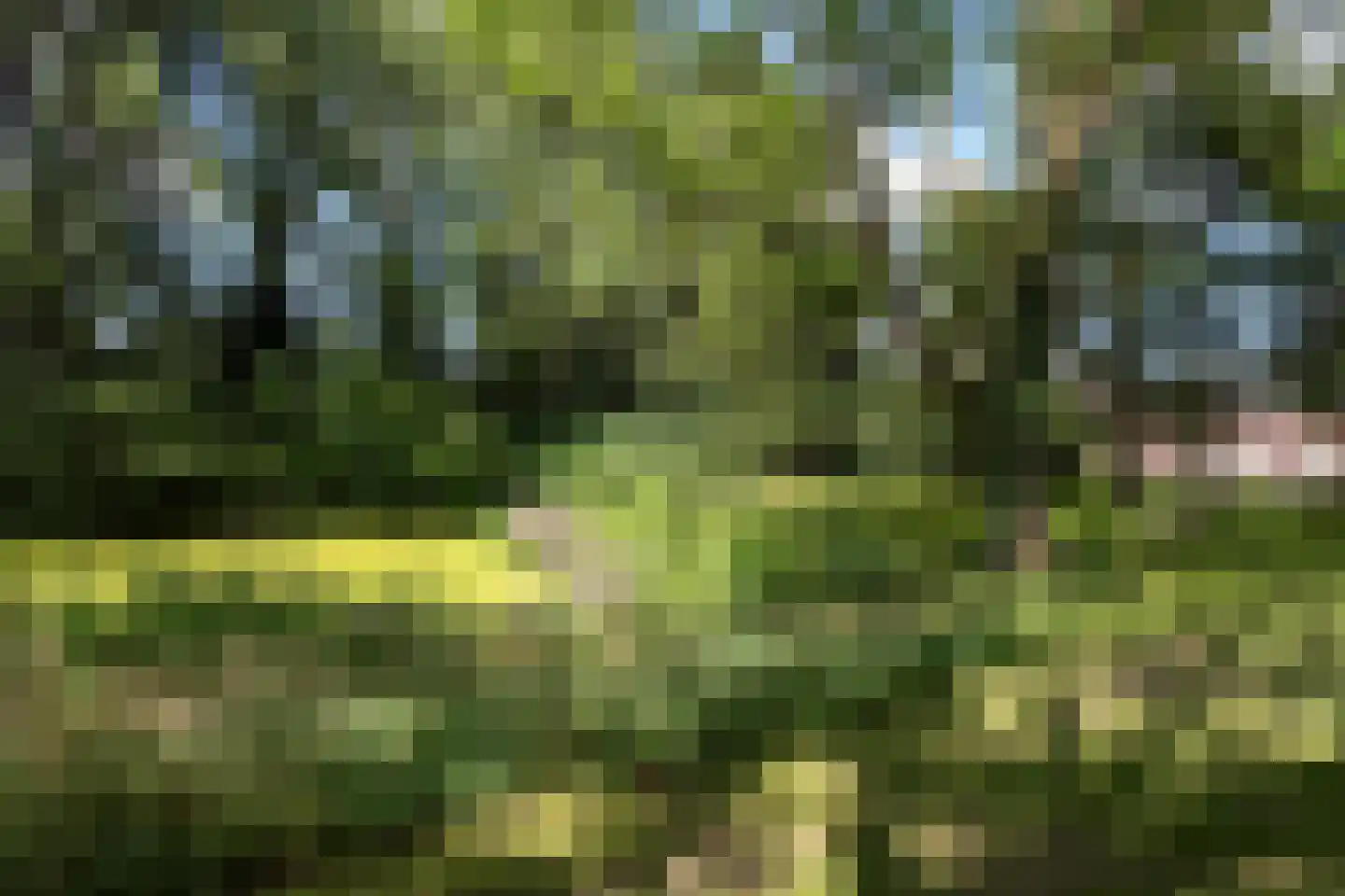 Moesstraat 63 Groningen thumbnail 38
