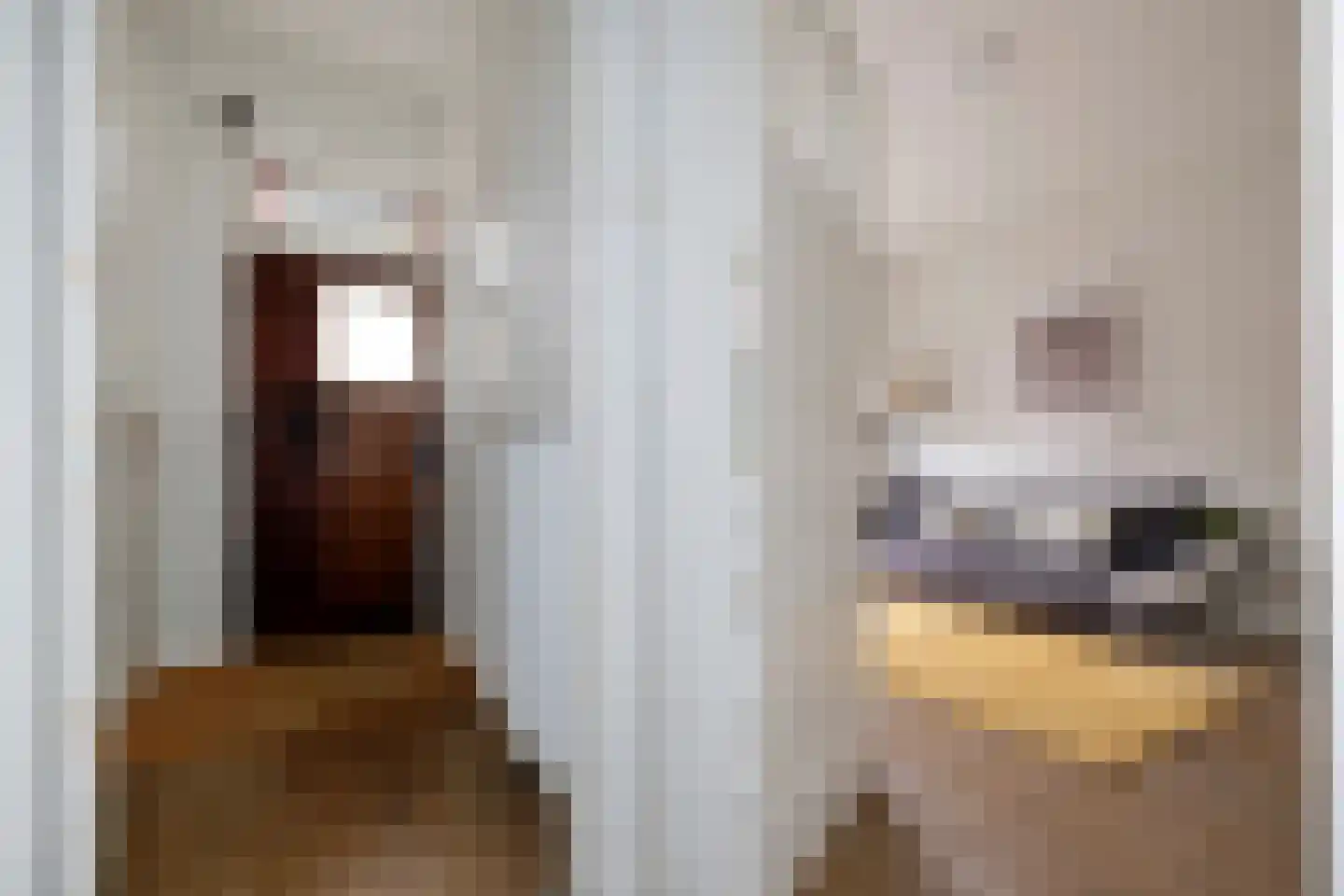 Moesstraat 63 Groningen thumbnail 6