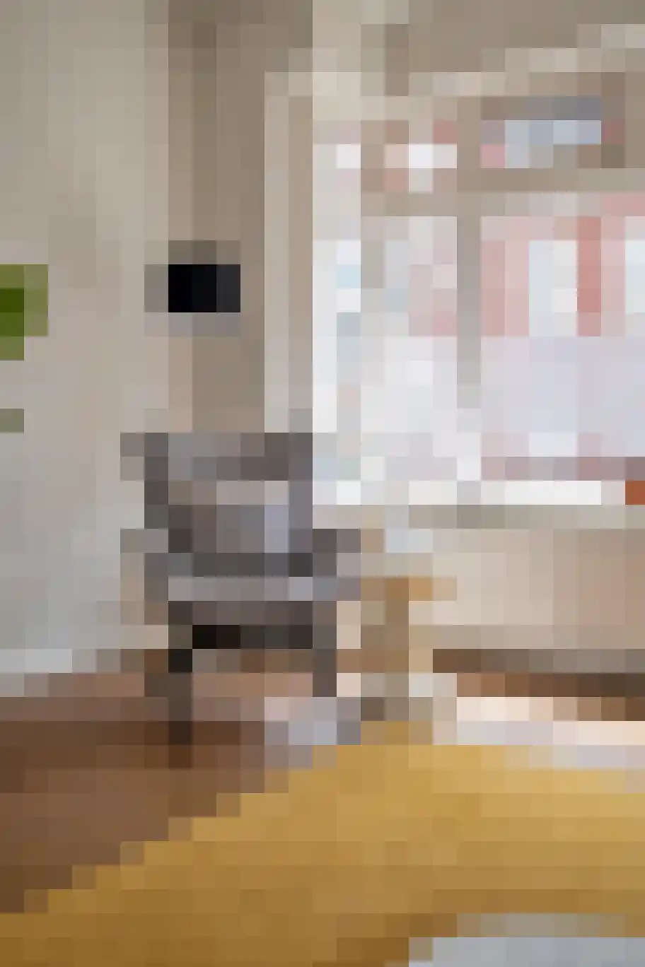 Moesstraat 63 Groningen thumbnail 9