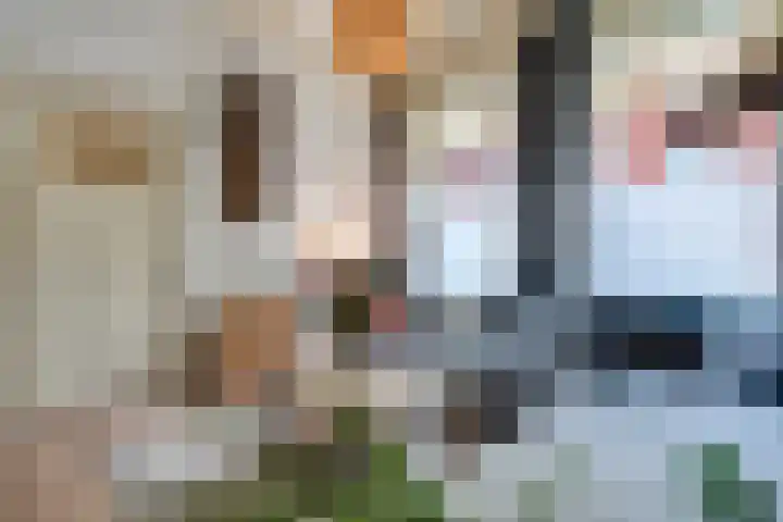 Moesstraat 75 Groningen thumbnail 12