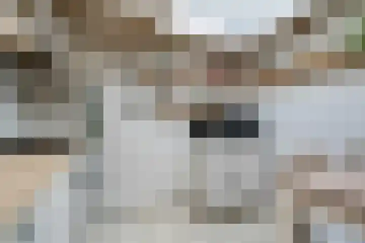 Moesstraat 75 Groningen thumbnail 24
