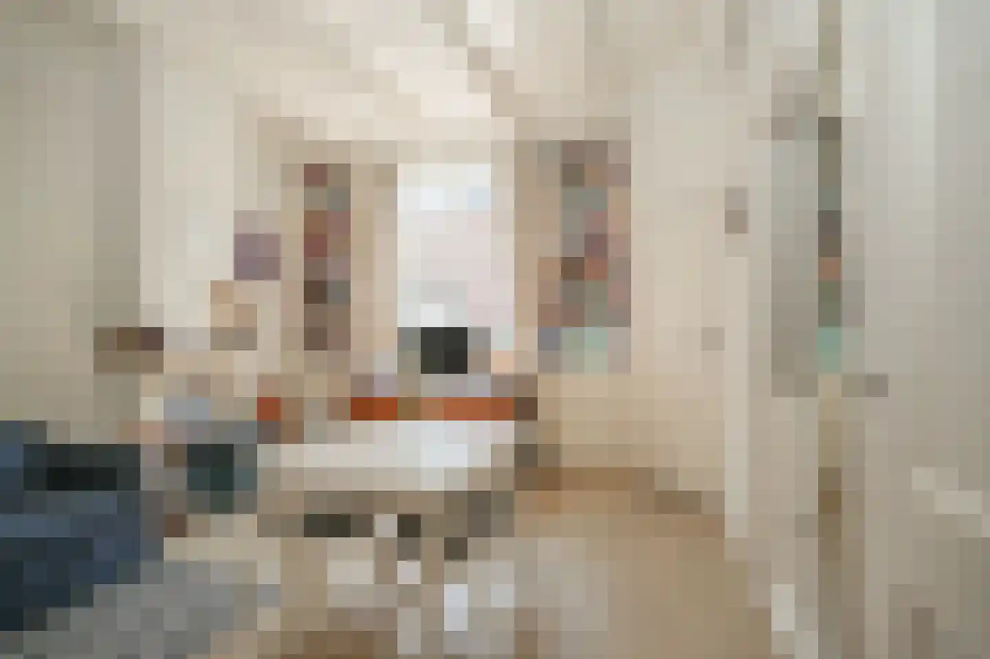 Moesstraat 8 Utrecht thumbnail 10