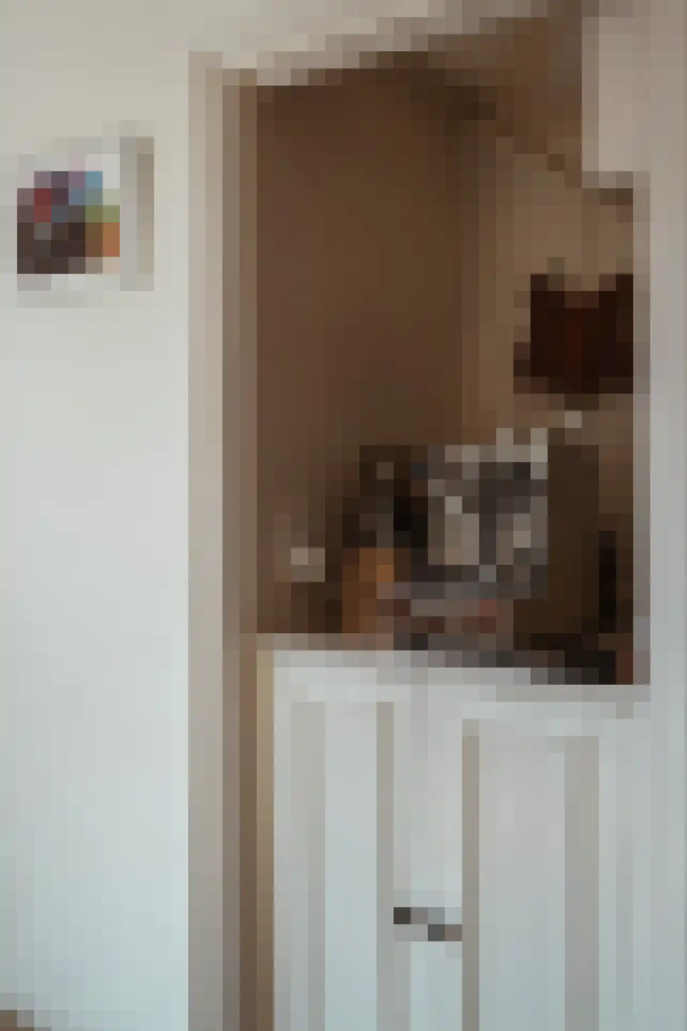Moesstraat 8 Utrecht thumbnail 33