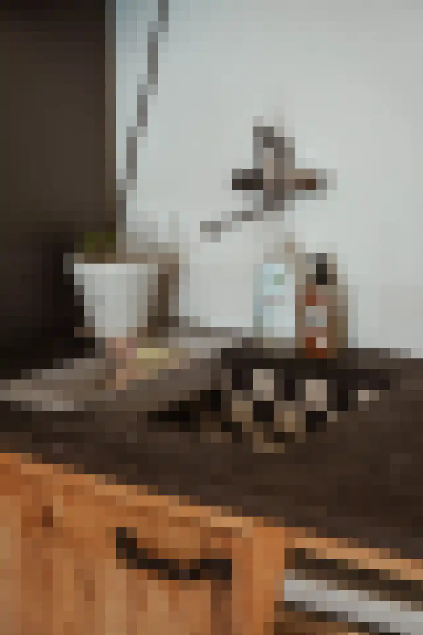 Moesstraat 8 Utrecht thumbnail 35