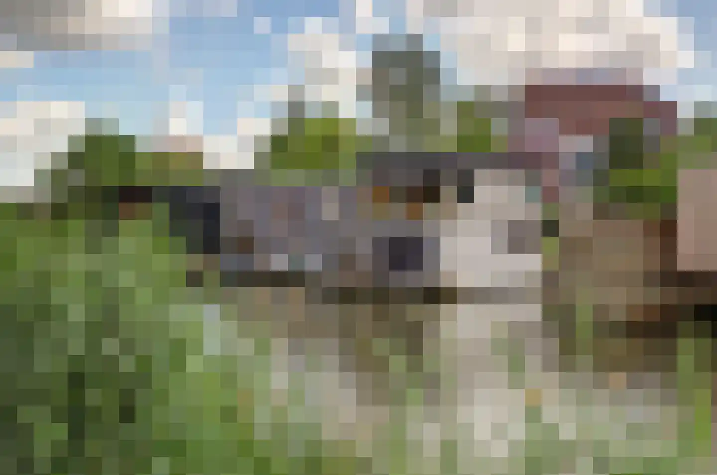 Moestuinlaan 24 Amsterdam thumbnail 11