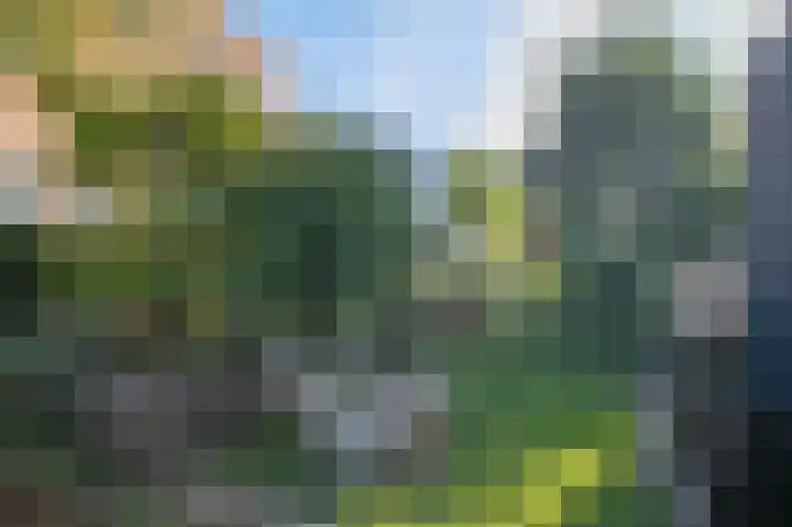 Moestuinlaan 36 Amsterdam thumbnail 33