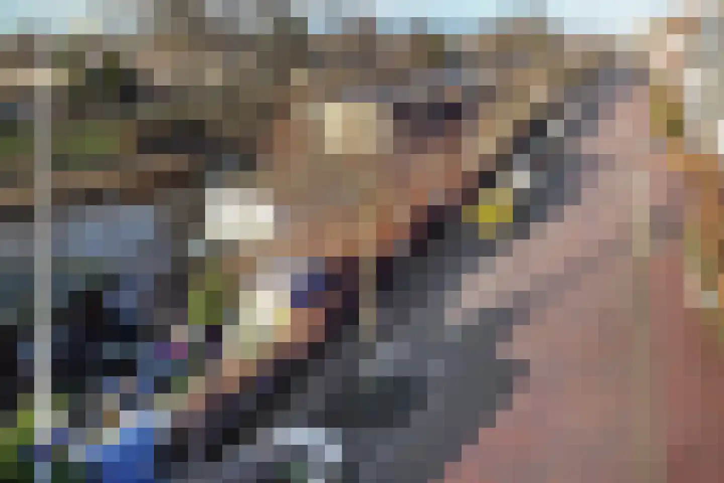 Moestuinlaan 4 Amsterdam thumbnail 5