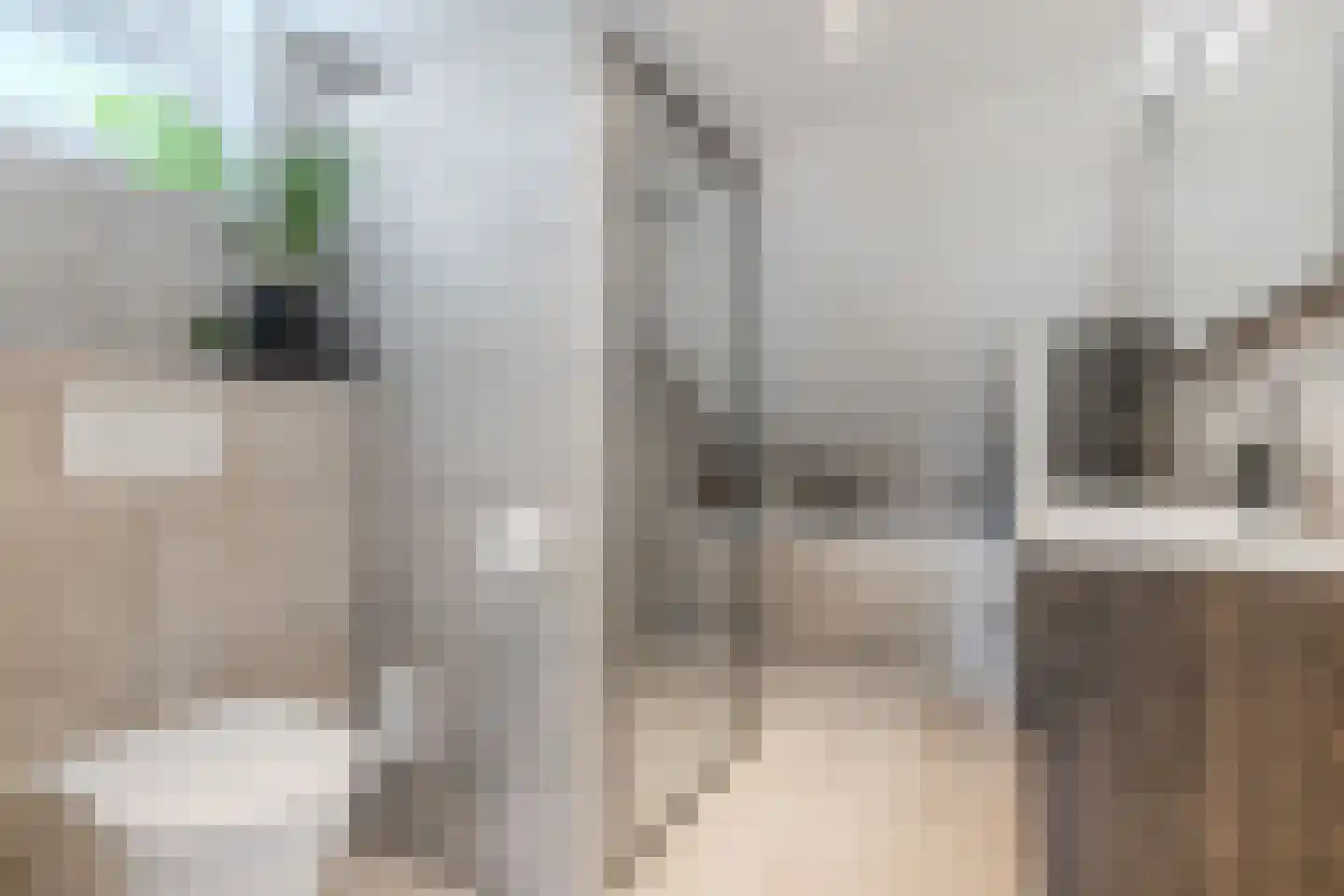 Moezel 101 Drachten thumbnail 25