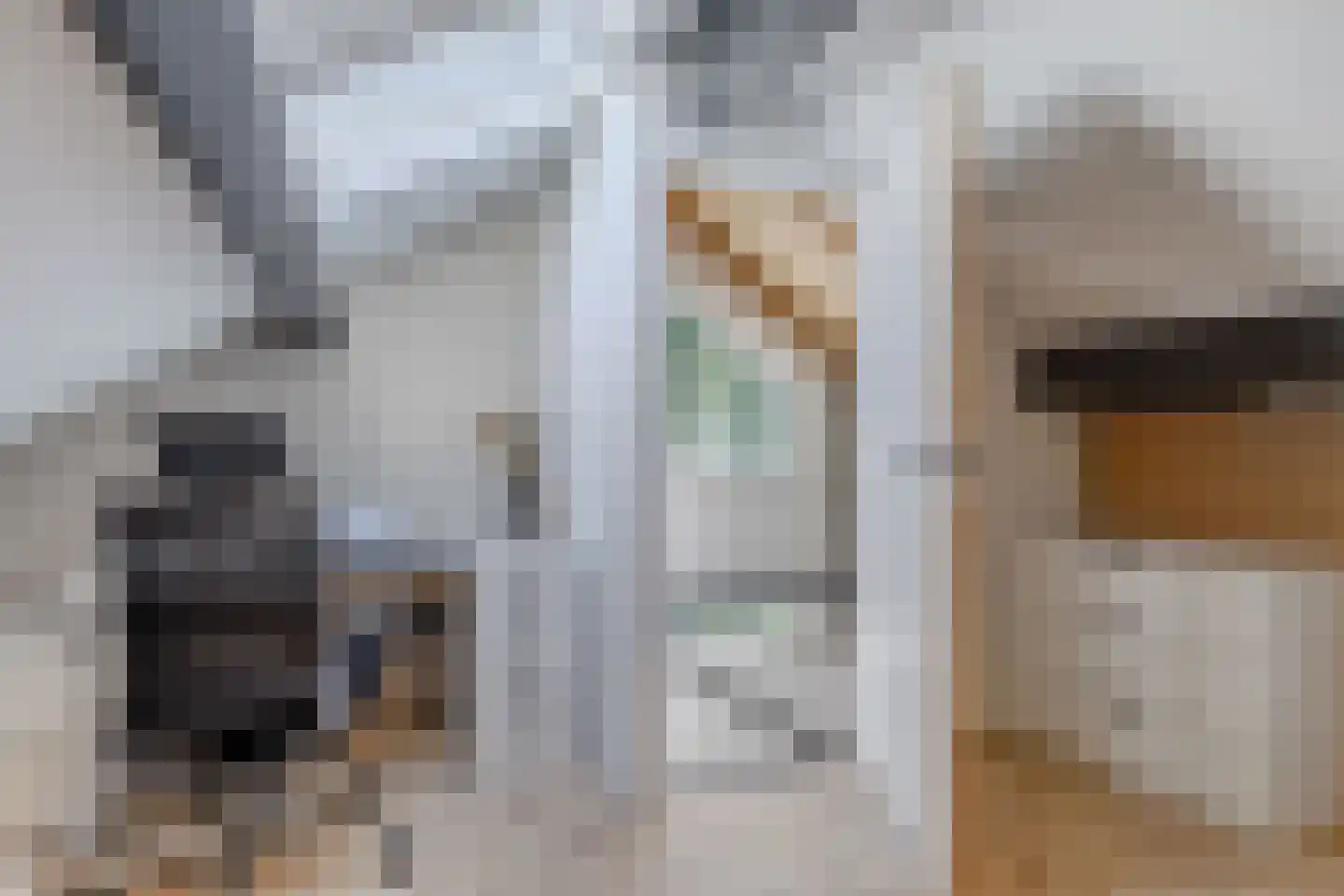 Moezel 101 Drachten thumbnail 31