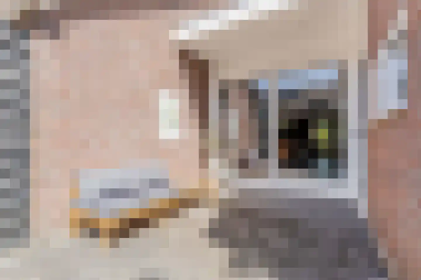 Moezel 101 Drachten thumbnail 32