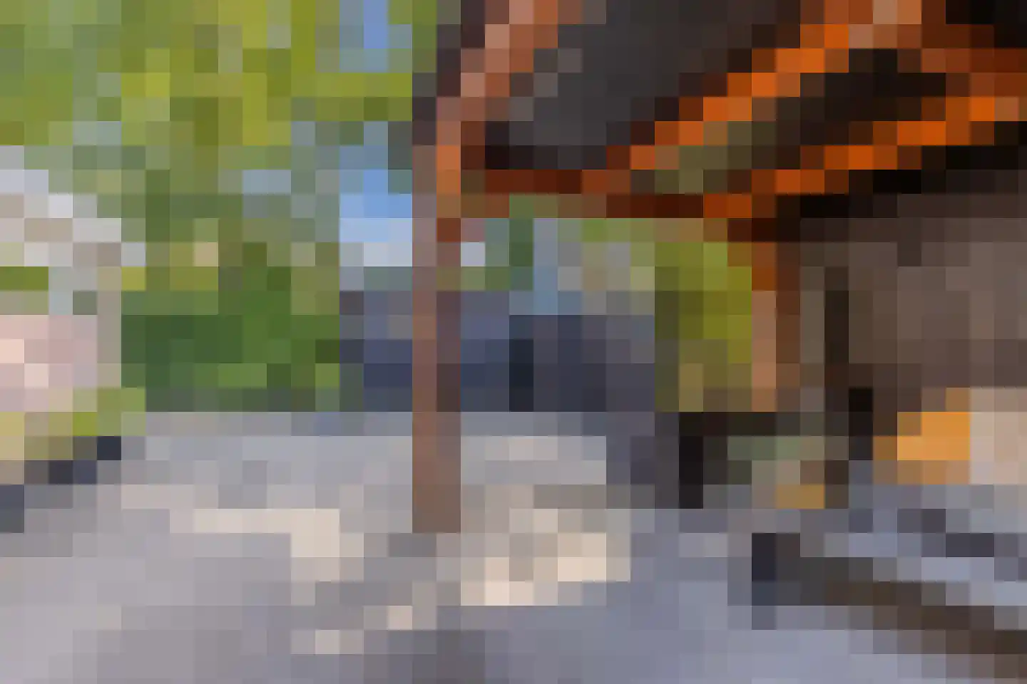 Moezel 101 Drachten thumbnail 37