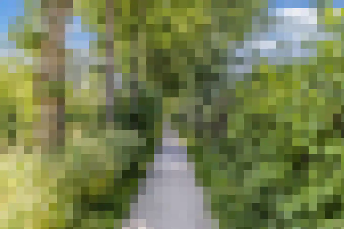 Moezel 101 Drachten thumbnail 47