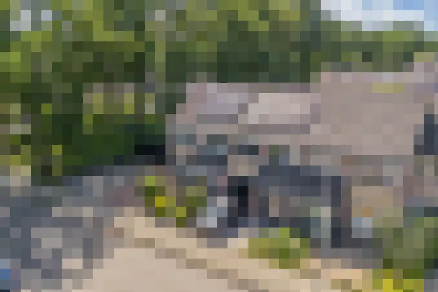Moezel 101 Drachten thumbnail 51