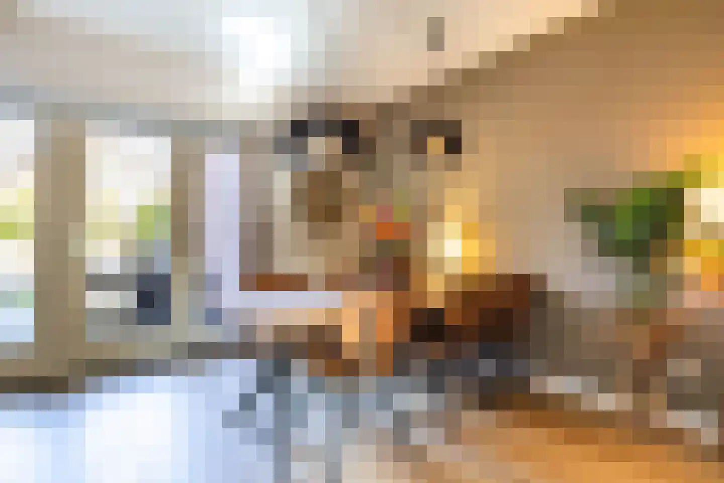 Moezel 13 Drachten thumbnail 14