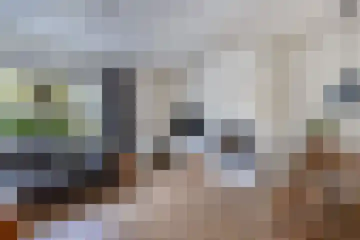 Moezel 204 Drachten thumbnail 13