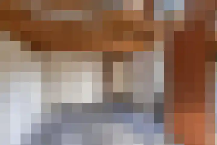 Moezel 204 Drachten thumbnail 23