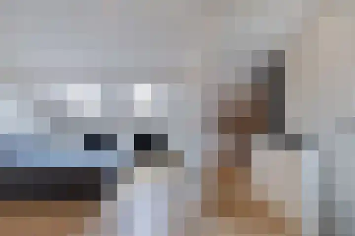 Moezel 204 Drachten thumbnail 39