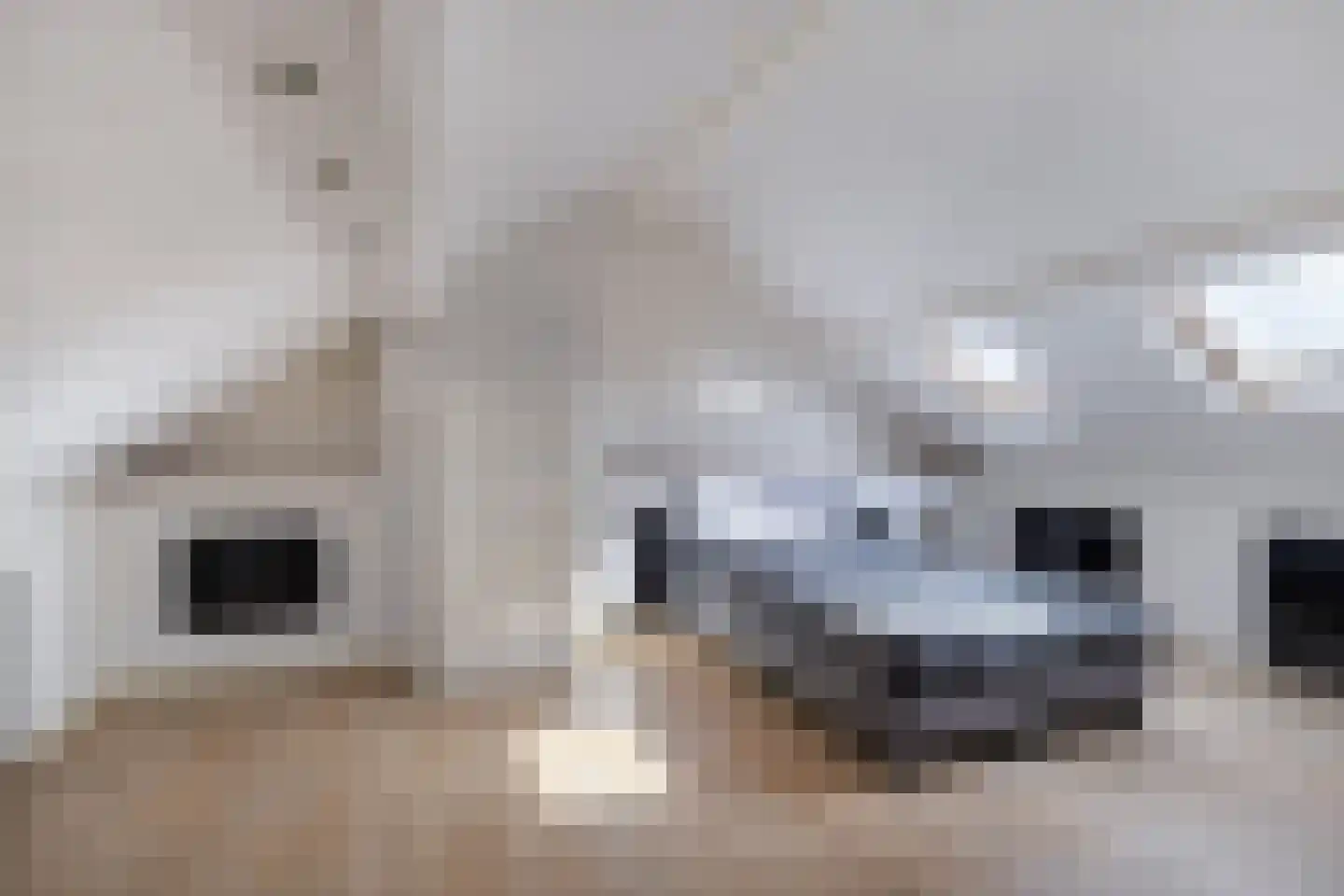 Moezel 204 Drachten thumbnail 42
