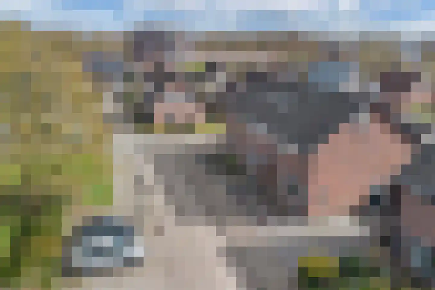 Moezel 204 Drachten thumbnail 51
