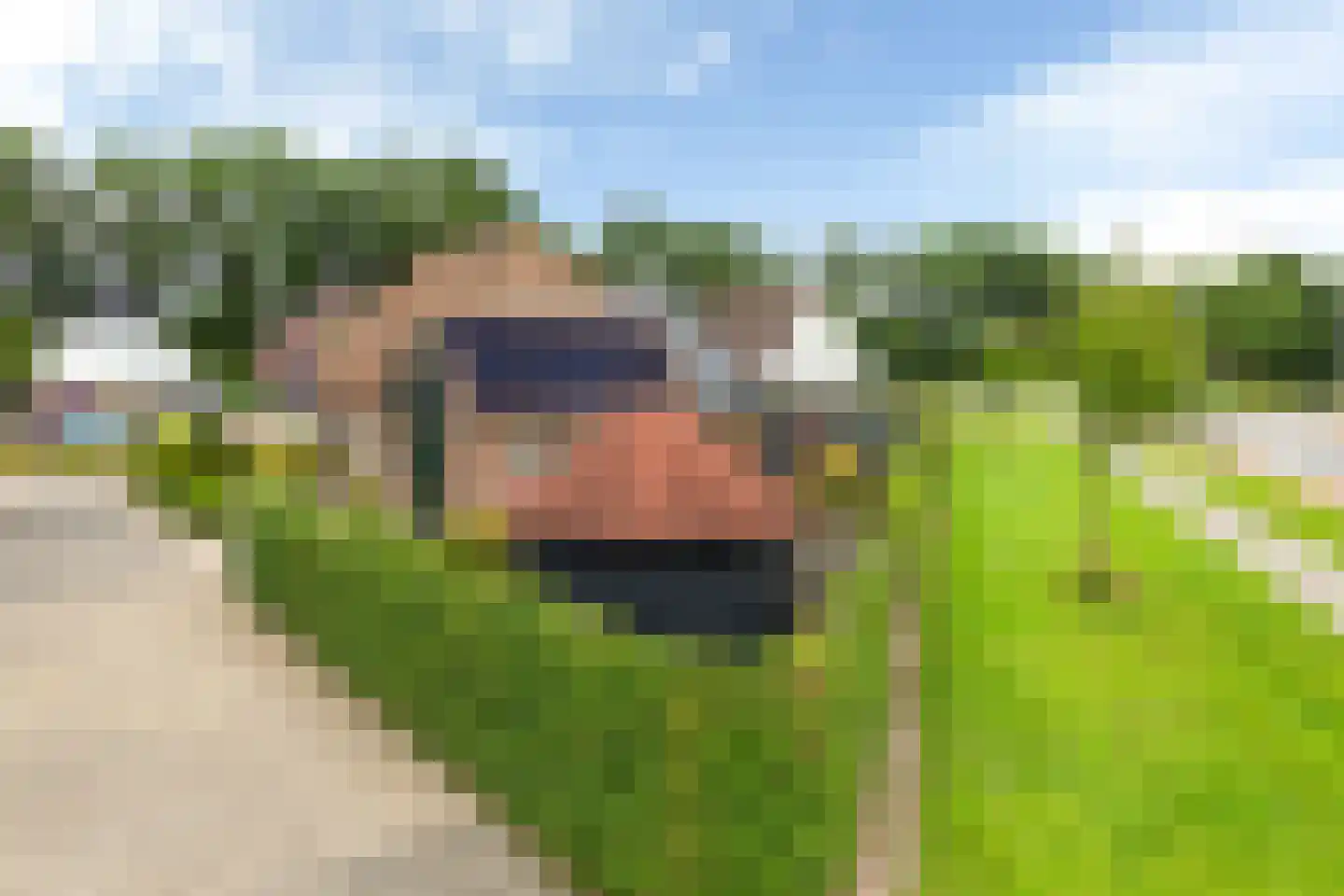 Moezel 224 Drachten thumbnail 40