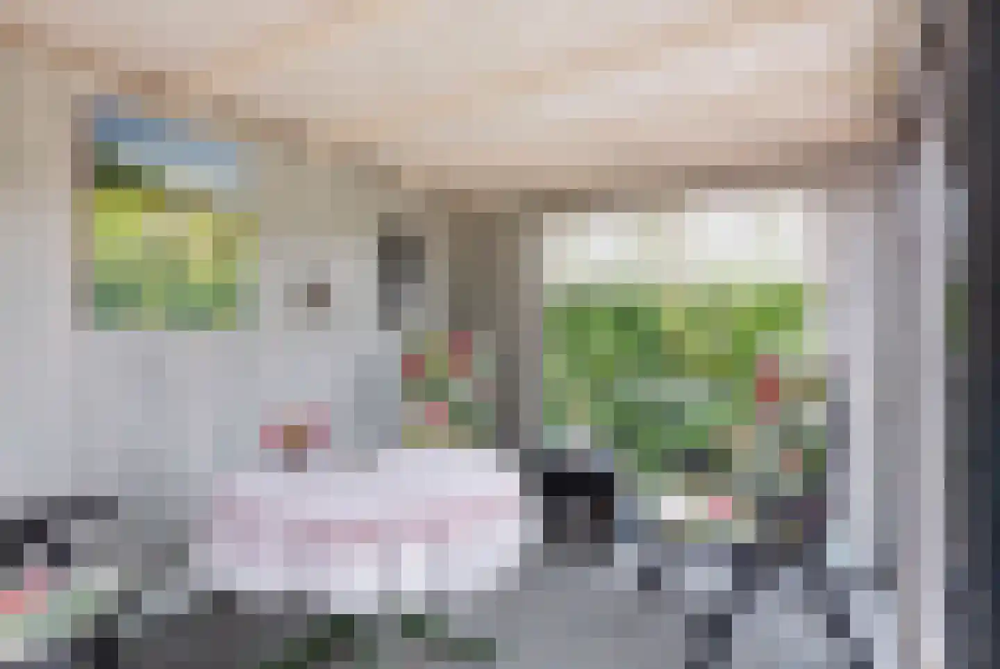 Moezel 224 Drachten thumbnail 48