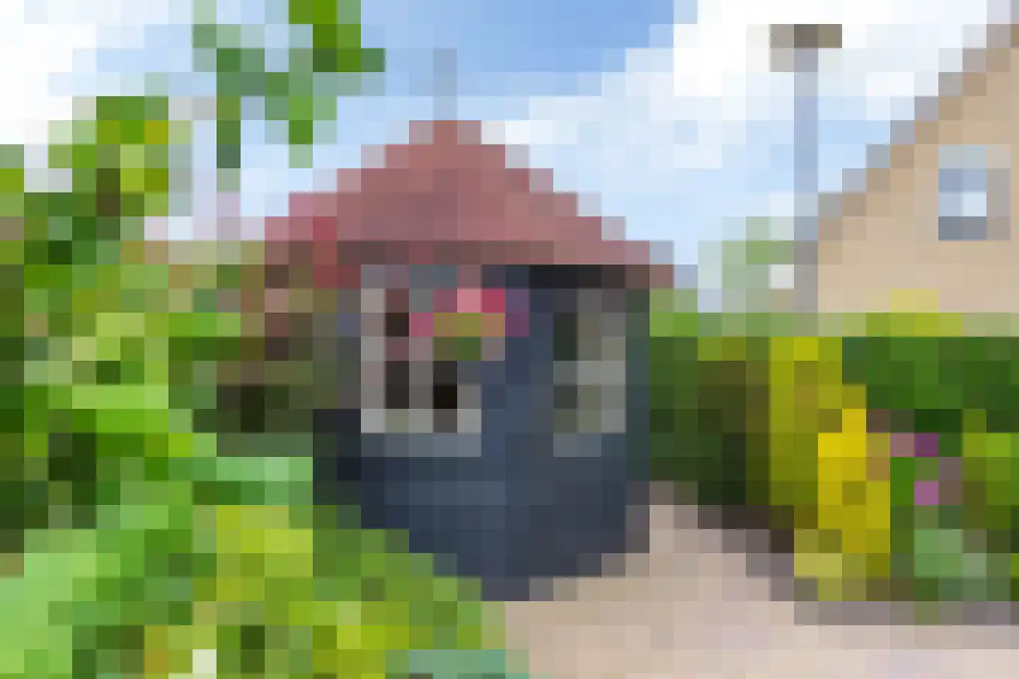 Moezel 224 Drachten thumbnail 50