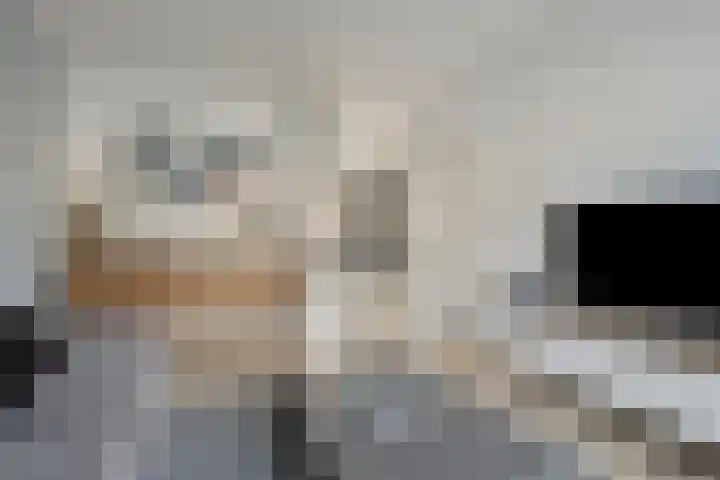 Moezel 26 Drachten thumbnail 10