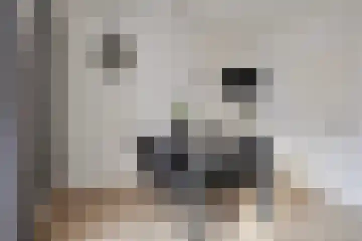 Moezel 26 Drachten thumbnail 12