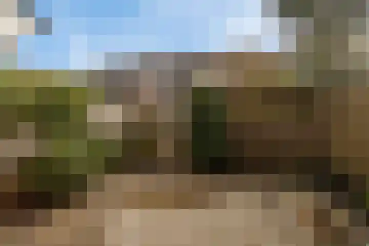 Moezel 26 Drachten thumbnail 34
