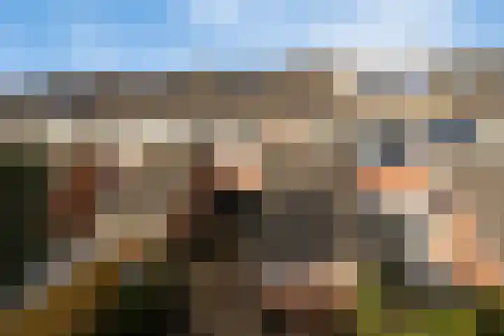 Moezel 26 Drachten thumbnail 38