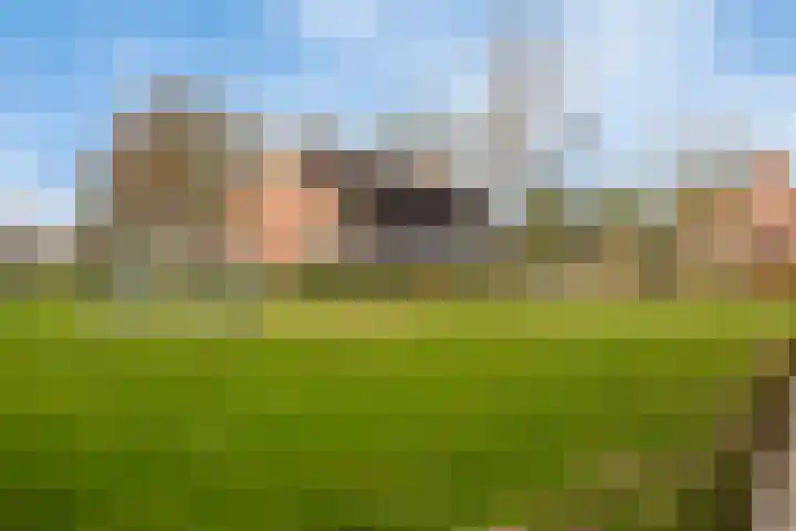 Moezel 26 Drachten thumbnail 40