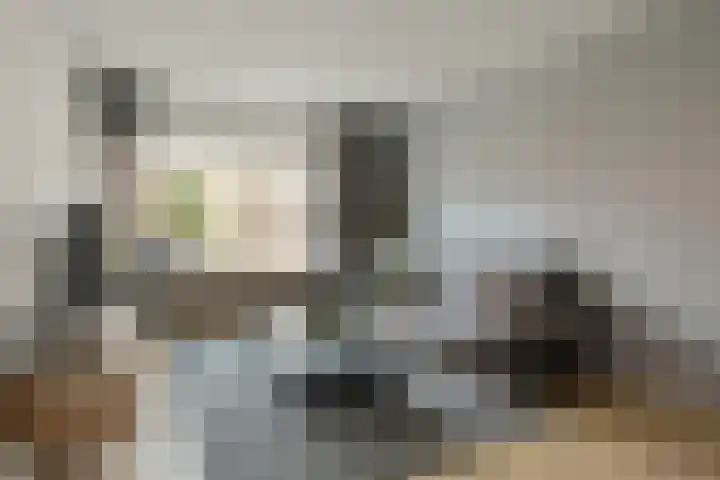 Moezel 26 Drachten thumbnail 8