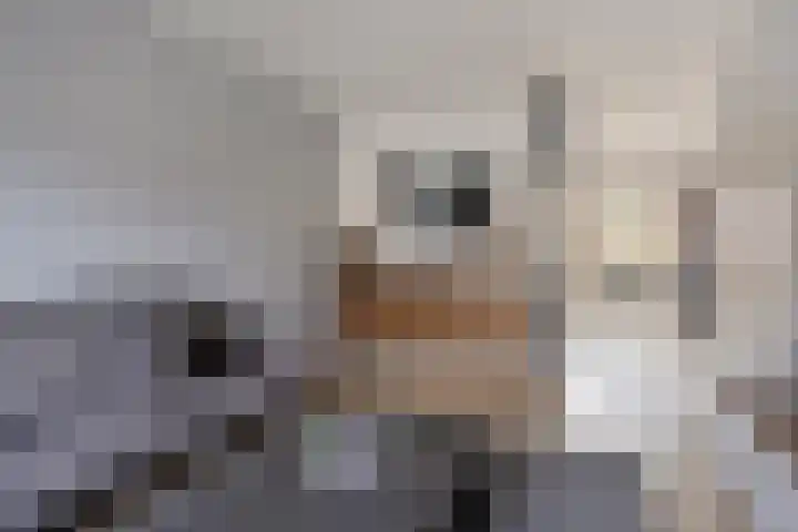Moezel 26 Drachten thumbnail 9