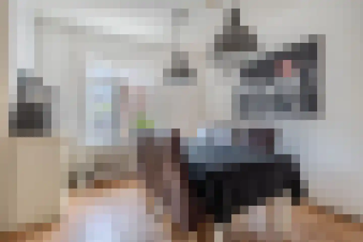 Moezel 40 Drachten thumbnail 9