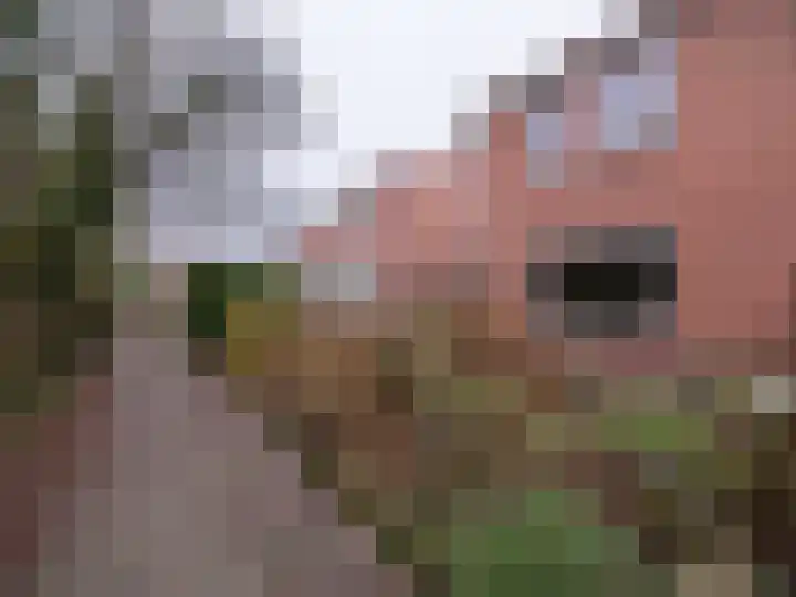 Moezel 45 Drachten thumbnail 4