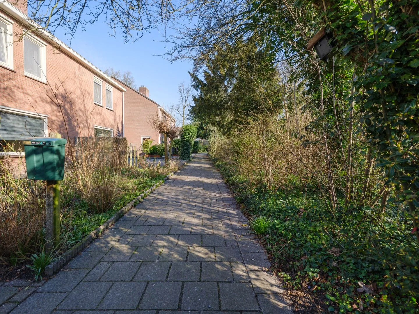 Moezel 45 Drachten thumbnail 46