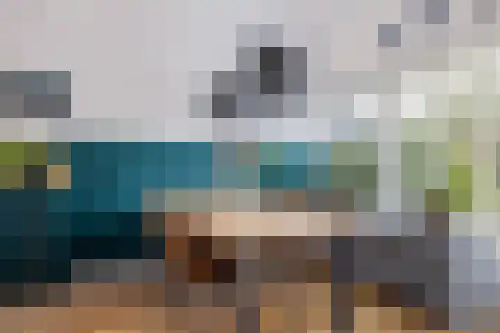 Moezel 69 Drachten thumbnail 13
