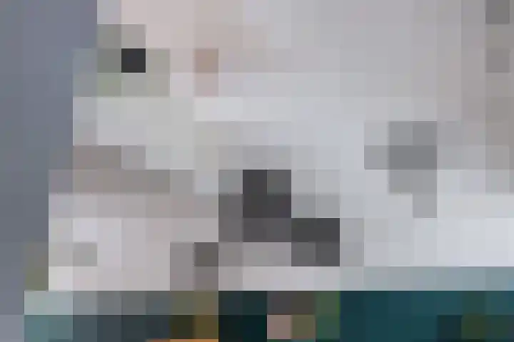 Moezel 69 Drachten thumbnail 16