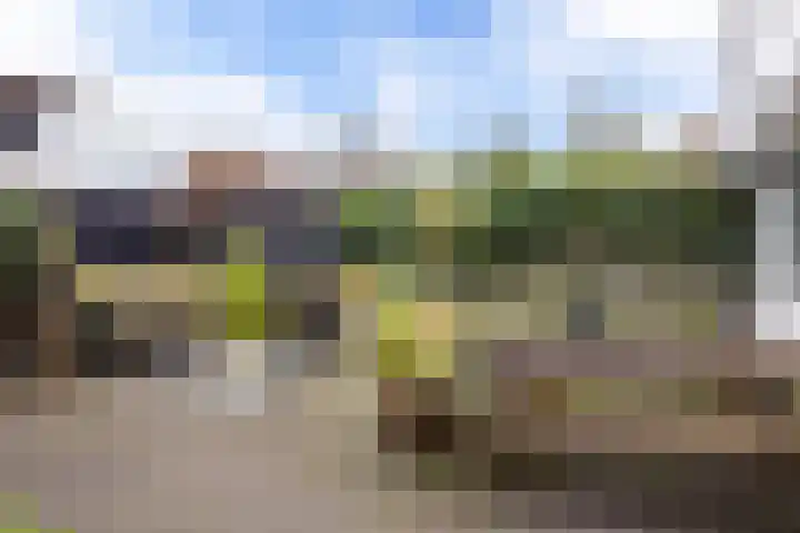 Moezel 69 Drachten thumbnail 27