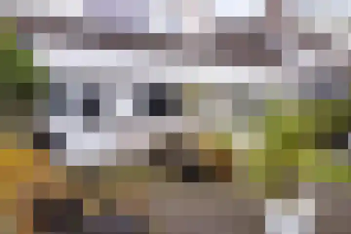 Moezel 69 Drachten thumbnail 29