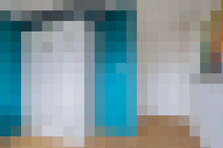 Moezel 69 Drachten thumbnail 40