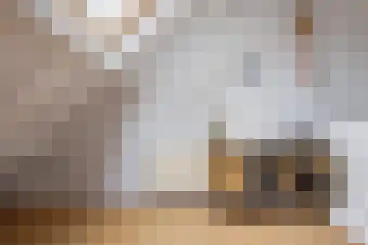 Moezel 69 Drachten thumbnail 41