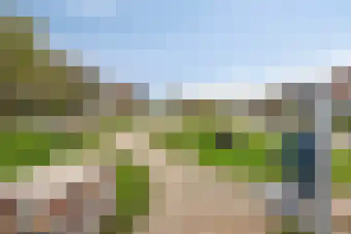 Moezel 69 Drachten thumbnail 57