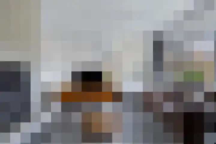 Moezel 75 Drachten thumbnail 11