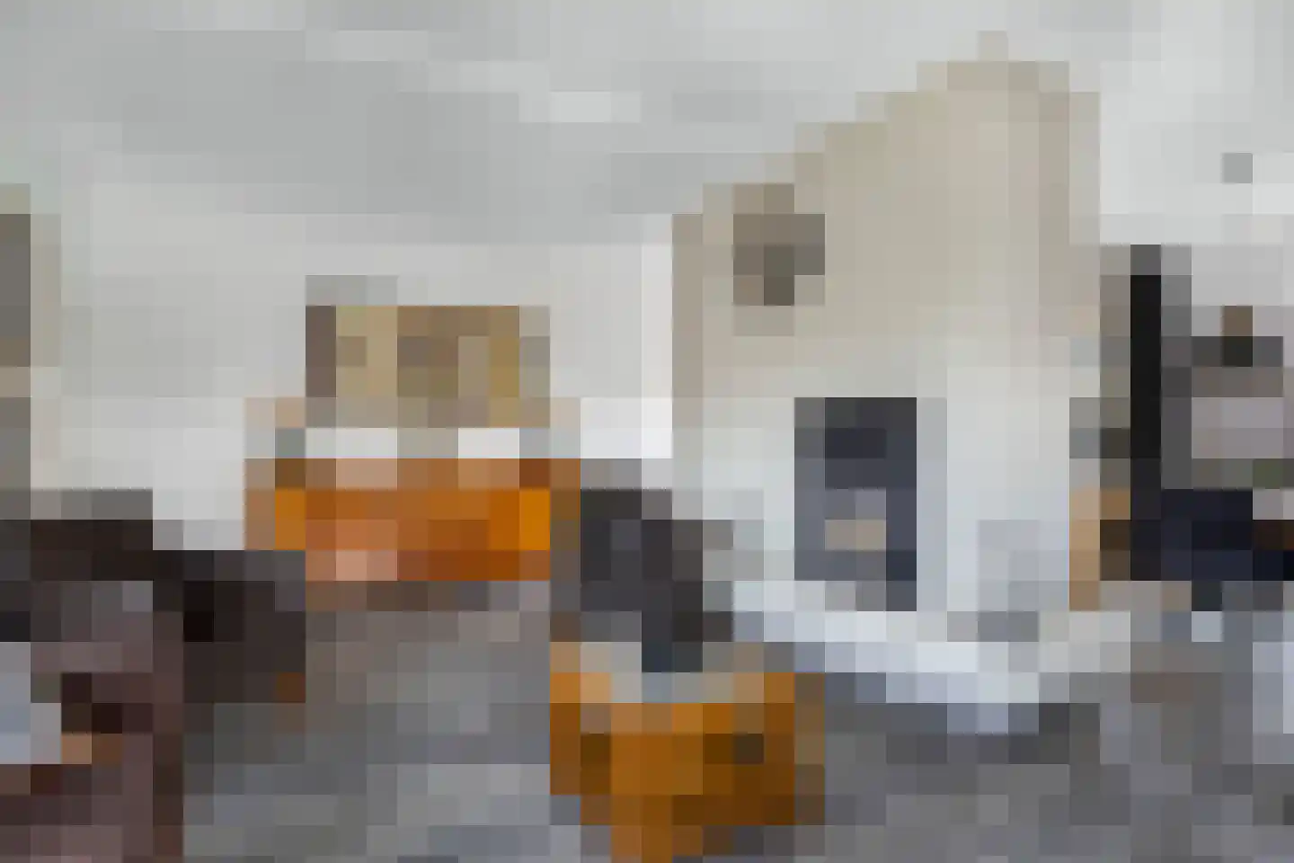 Moezel 75 Drachten thumbnail 12