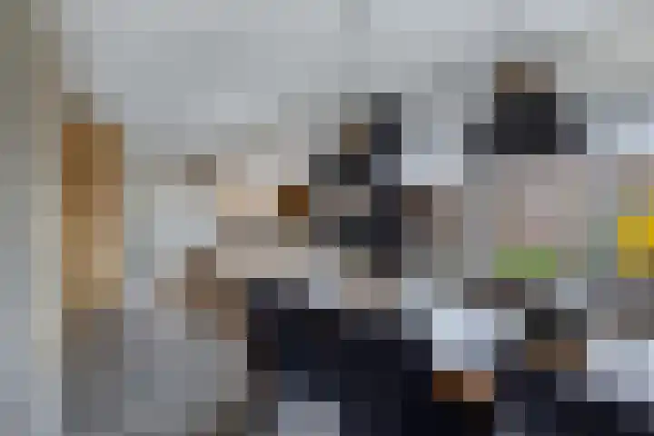 Moezel 75 Drachten thumbnail 14