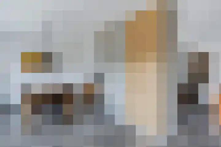 Moezel 75 Drachten thumbnail 15