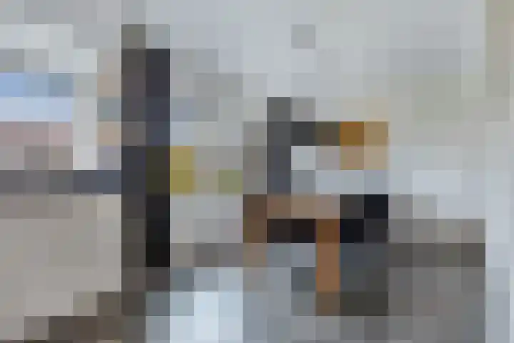 Moezel 75 Drachten thumbnail 16