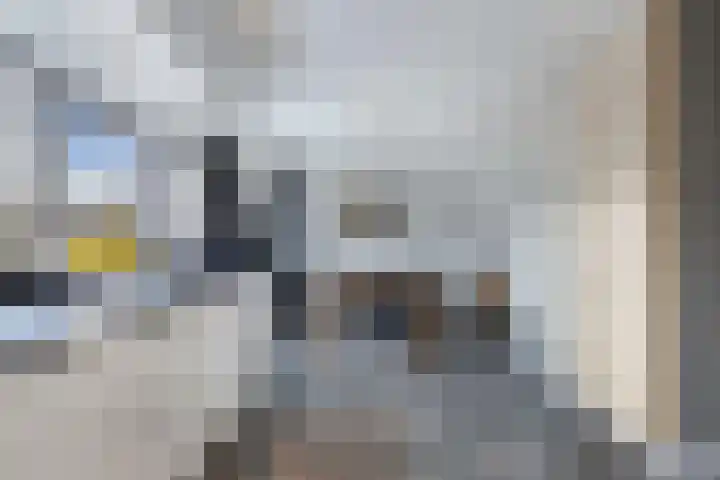 Moezel 75 Drachten thumbnail 17