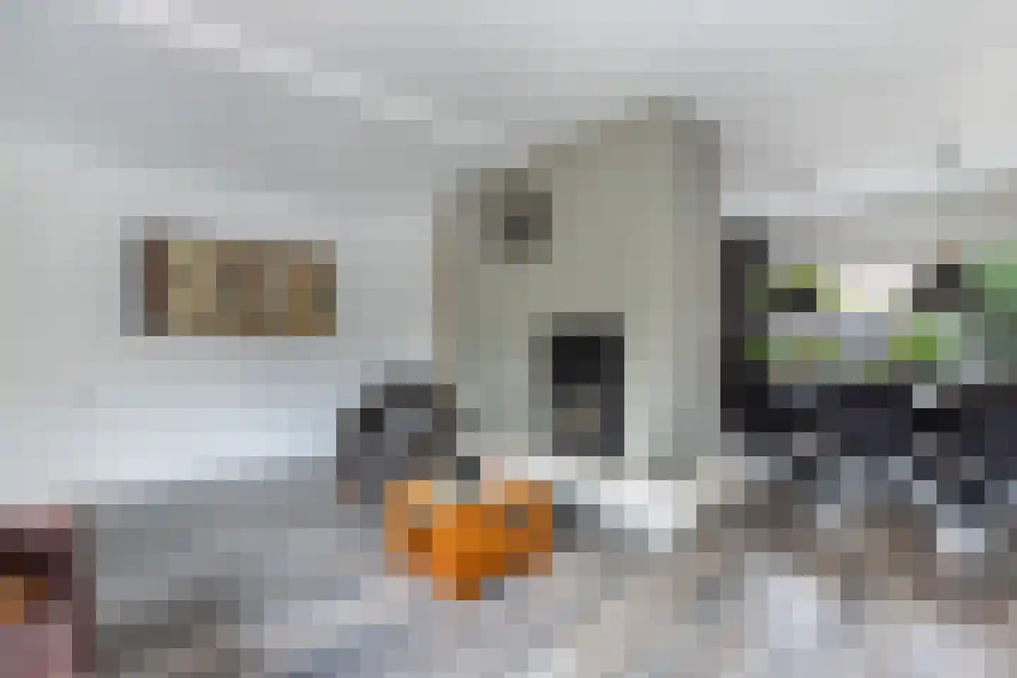 Moezel 75 Drachten thumbnail 18